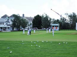 Image result for Cornwood Cricket Club