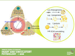 「pvAj[MjA」の画像検索結果