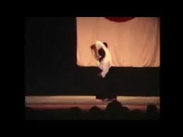 Image result for Newcastle Aikido Club