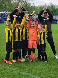 Image result for Brendon Bees Junior Football Club