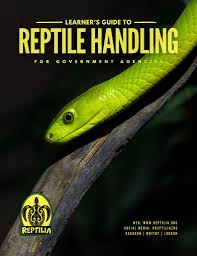 Attēlu rezultāti vaicājumam “Reptilia”