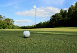 Image result for Vale Royal Abbey Golf Club