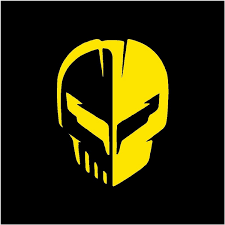 Bildresultat för jake skull