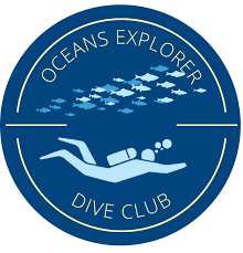Image result for 3D Diving Club