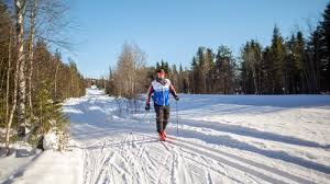 Image result for Scandinavian slope and cross country skiing