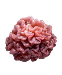 Attēlu rezultāti vaicājumam “Ascotremella faginea”