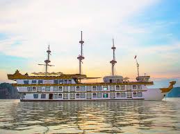 Image result for Bay Dragons CC