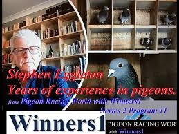Image result for Abbeyton & Broomfield Racing Pigeons