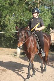 Image result for Penzance Netball Club