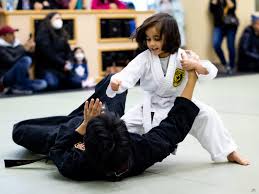 Image result for Northern Freestyle Karate Association