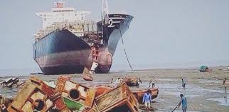 Image result for alang