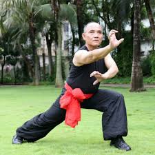Image result for Hung Kuen School Of Shaolin Kung Fu