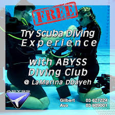 Image result for Abyss Dive Club