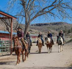 Image result for Old Park Riding Stables