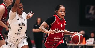 Image result for Nottingham Wildcats