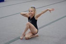Image result for Basingstoke Gymnastics Club