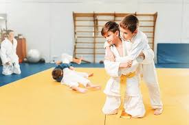 Image result for Plumstead Judo Club