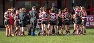 Image result for Stewartry Rugby Football Club