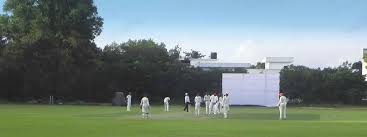 Image result for Stalybridge St Pauls Cricket Club