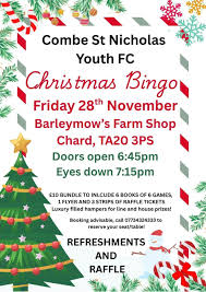 Image result for St Nicholas Youth Football Club