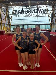 Image result for Avondale Gymnastics Club