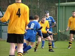 Image result for World of Shinty