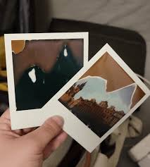 Image result for polaroids