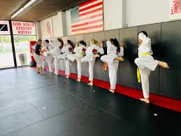 Image result for Bushido Academy Of Martial Arts (Bama)
