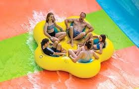 Image result for rosa aquatica