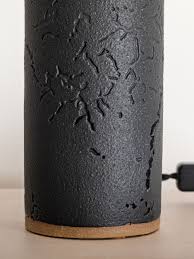 Attēlu rezultāti vaicājumam “Lamproderma debile”