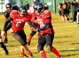 Image result for Warwick Wolves