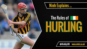 Image result for hurling