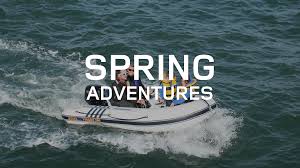 Image result for Solent Viragos