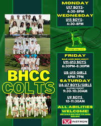 Image result for Boyne Hill Cricket Club