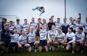 Image result for University Of Limerick Gaa Hurling Club