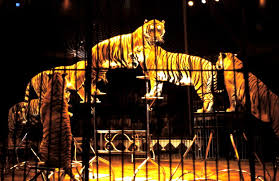 Image result for Blackpool Tiggers