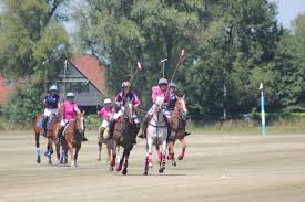 Image result for Cambridge and Newmarket Polo Club