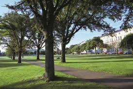 Image result for Southsea Common Bowling Greens