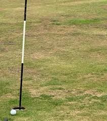 Image result for Farnham Park Golf Course