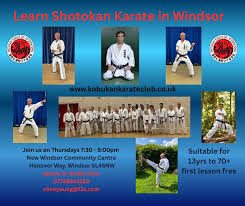 Image result for Windsor Karate Club