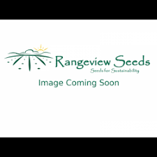 Afbeeldingsresultaat voor broad ripple yellow currant tomato