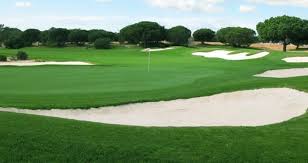 Image result for Builth Wells Golf Club (1987) Ltd