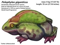 Attēlu rezultāti vaicājumam “Pelophylax adult”