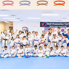 Image result for New Milton Taekwondo Club