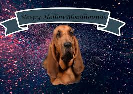 Image result for Carlisle BloodHounds