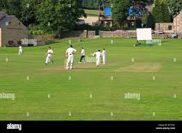 Image result for Bradfield Cricket Club