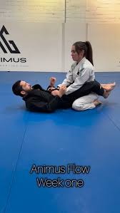 Image result for AAZENTAI JU JITSU