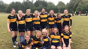 Image result for Ellingham and Ringwood Rugby Club