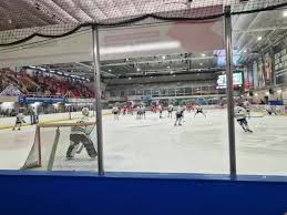 Image result for Basingstoke Bison Ice Hockey Club