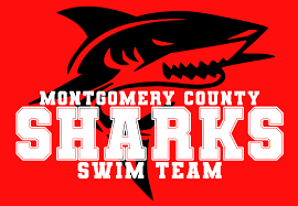 Image result for Sharks Swimming Club Of Mottingham
